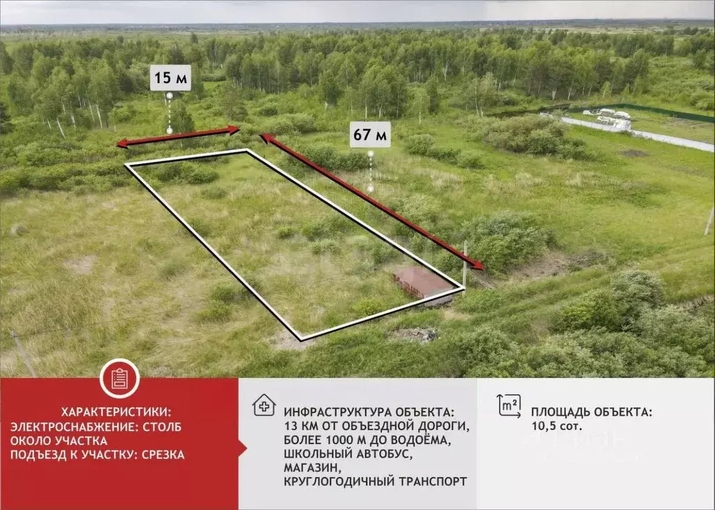 Участок в Тюменская область, Тюмень Садовое товарищество Липовый ... - Фото 2