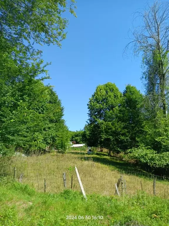 Участок в Краснодарский край, Сочи городской округ, с. Пластунка ул. ... - Фото 0