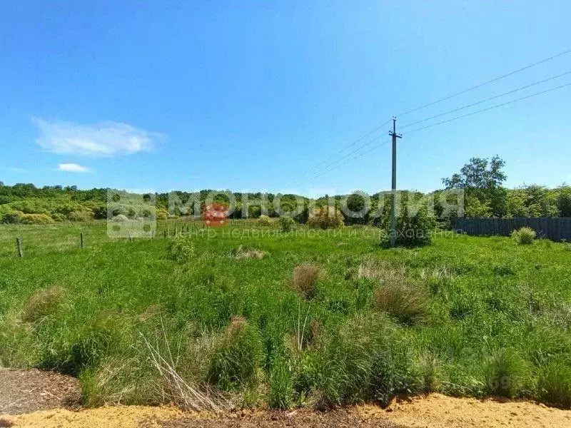 Участок в Амурская область, Серышевский муниципальный округ, с. ... - Фото 2