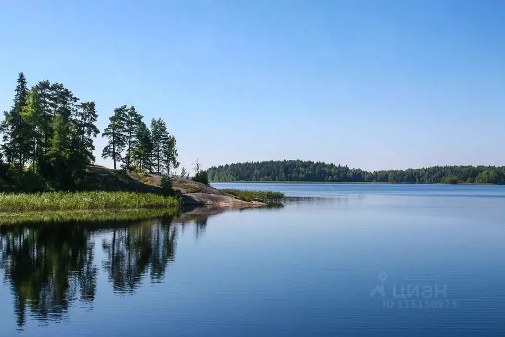 Участок в Ленинградская область, Выборгский район, Полянское с/пос, ... - Фото 0