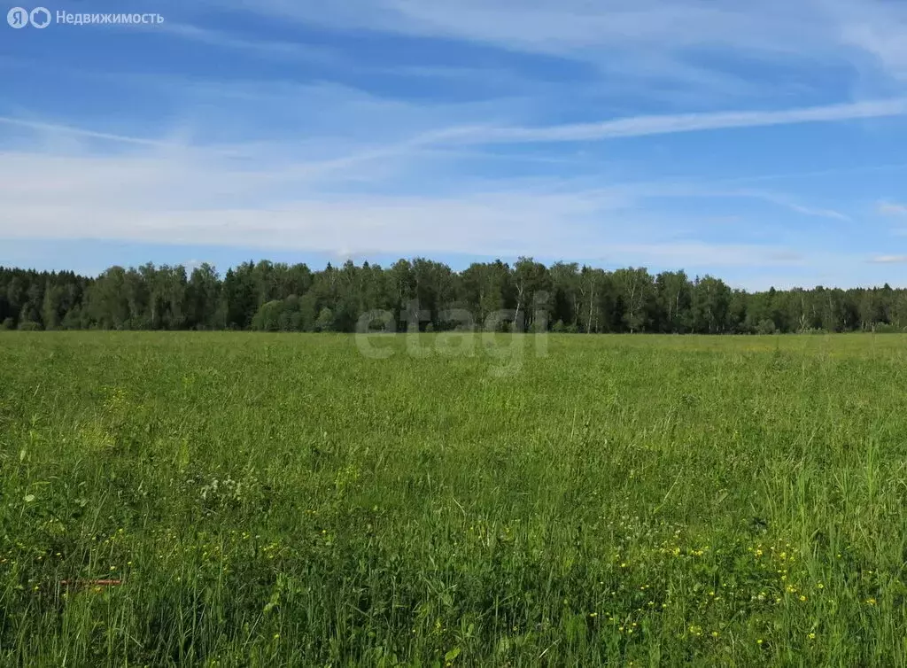 Участок в Курганская область, Кетовский муниципальный округ, СТ ... - Фото 1