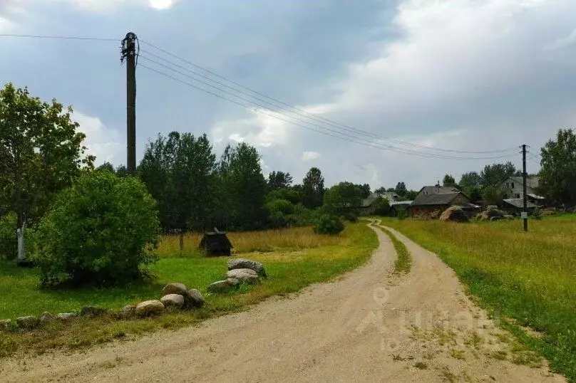 Дом в Псковская область, Пушкиногорский район, Пушкиногорье ... - Фото 1