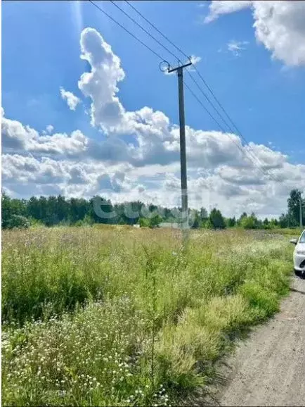 Участок в Алтайский край, Первомайский район, с. Санниково, Овощевод ... - Фото 2