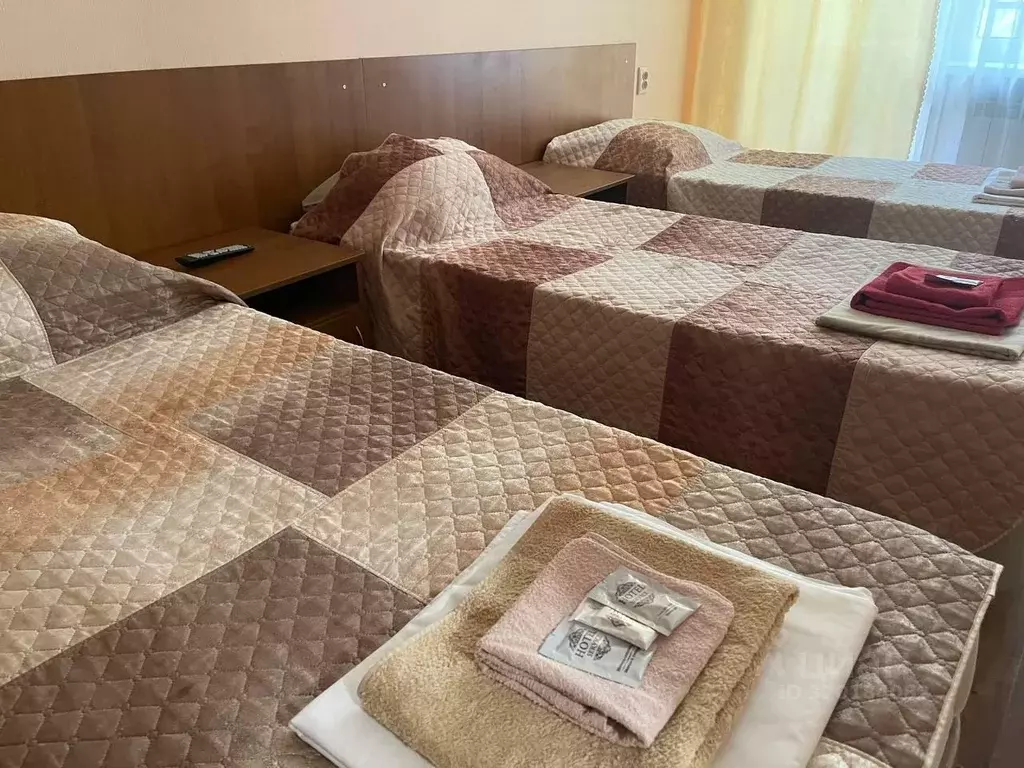 Комната Нижегородская область, Нижний Новгород с. Безводное, ул. ... - Фото 2