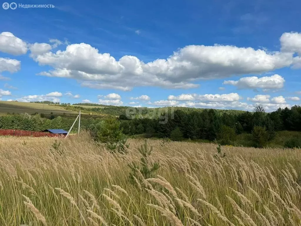 Участок в Нижегородская область, Дальнеконстантиновский муниципальный ... - Фото 1