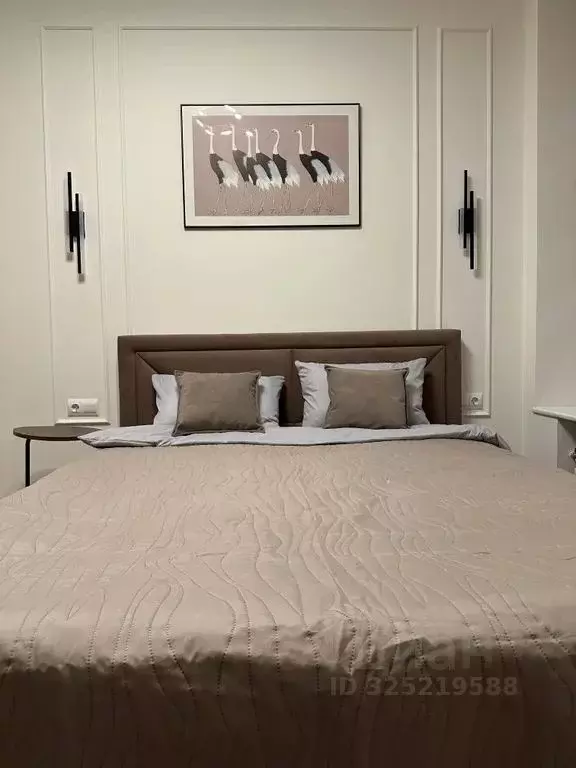 Студия Санкт-Петербург Зверинская ул., 2/5 (18.0 м) - Фото 2