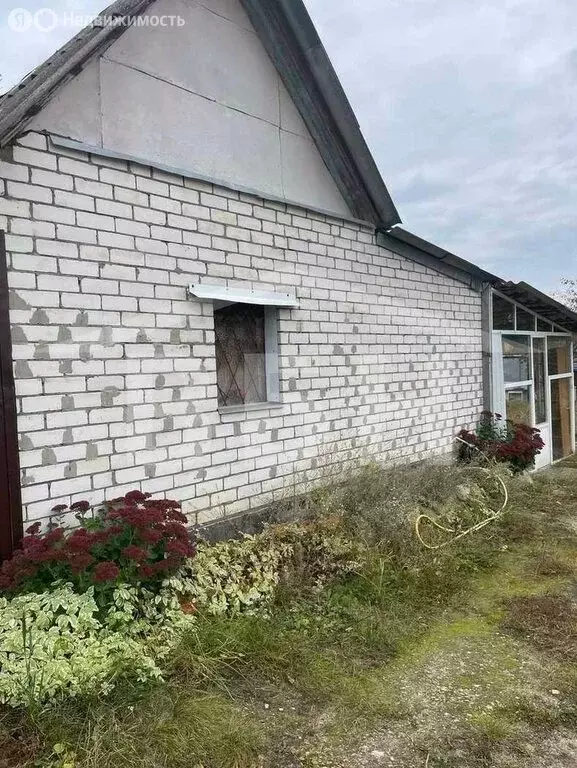 Дом в Рамонский район, Новоживотинновское сельское поселение, СНТ ... - Фото 1