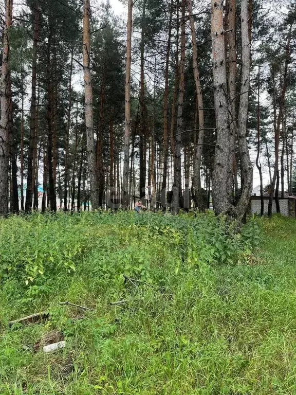 Участок в Воронежская область, Рамонский район, с. Ямное ул. Мира, 88 ... - Фото 0