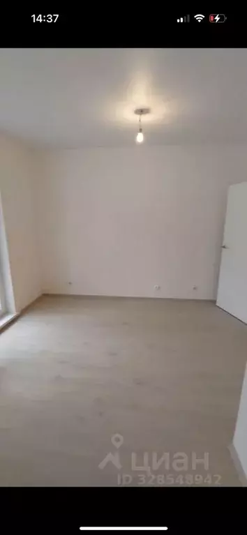 Студия Санкт-Петербург пос. Шушары, ул. Чудовская, 14к1 (23.0 м) - Фото 2