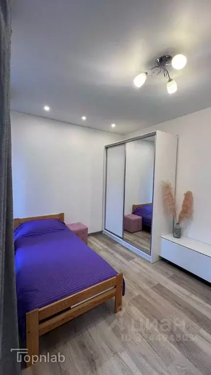 3-к кв. Санкт-Петербург ул. Челюскина, 4 (70.0 м) - Фото 2