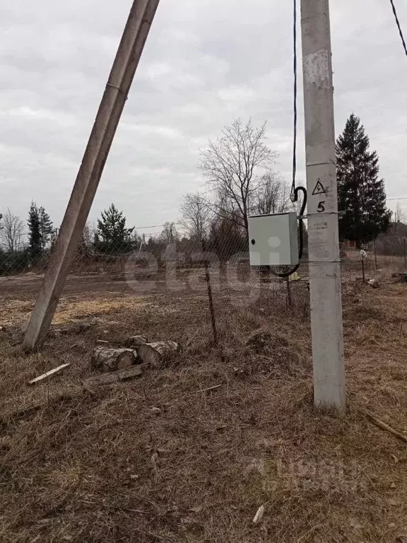 Участок в Ленинградская область, Всеволожский район, Рахьинское ... - Фото 1