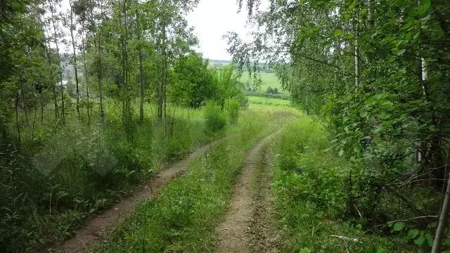 Поселок Сомово Одоевский район