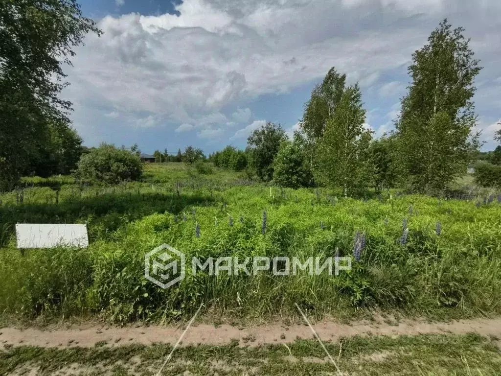 Участок в Брянская область, Брянский район, Добрунское с/пос, Полет ... - Фото 2