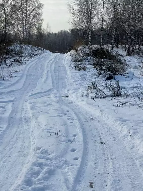 Участок в Алтай, Горно-Алтайск Строитель СНТ,  (6.6 сот.) - Фото 1