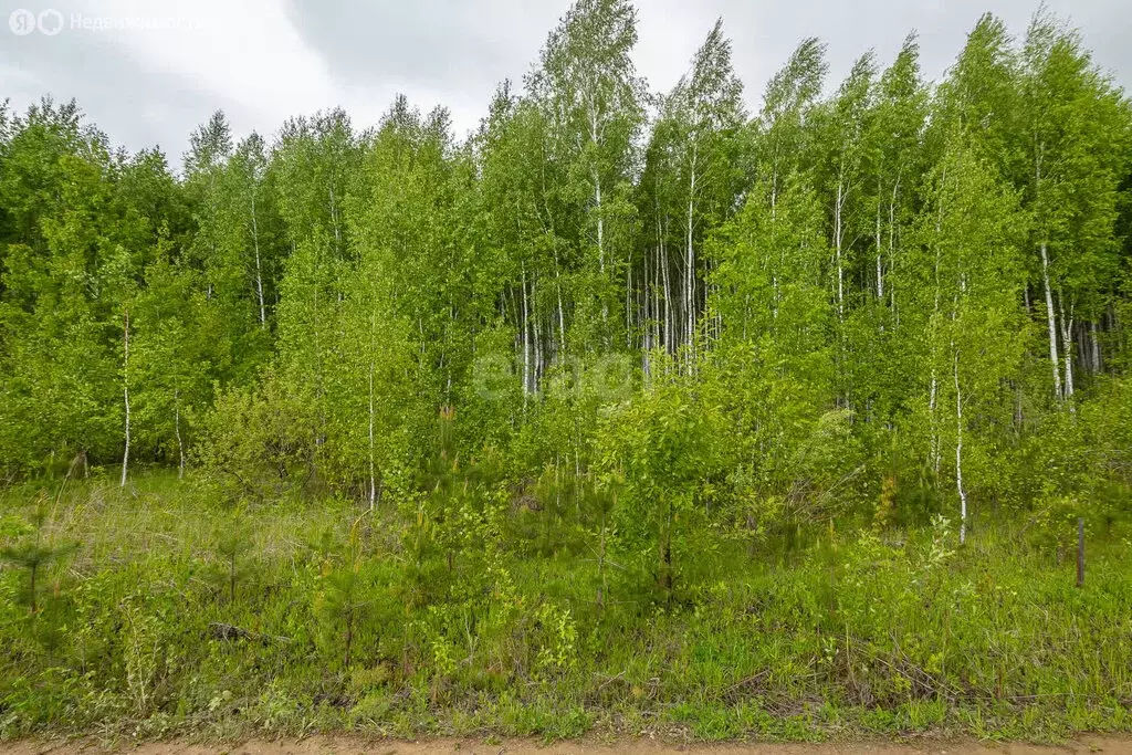 Участок в село Новолуговое (10 м) - Фото 0