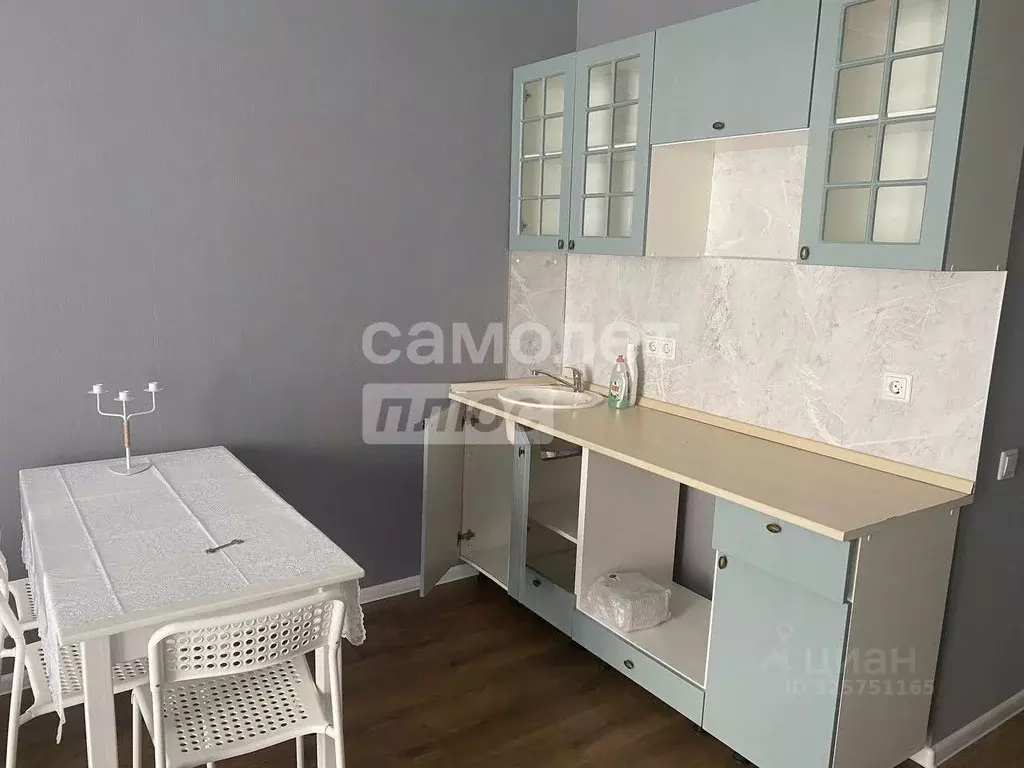 Студия Московская область, Старая Купавна Богородский городской округ, ... - Фото 2