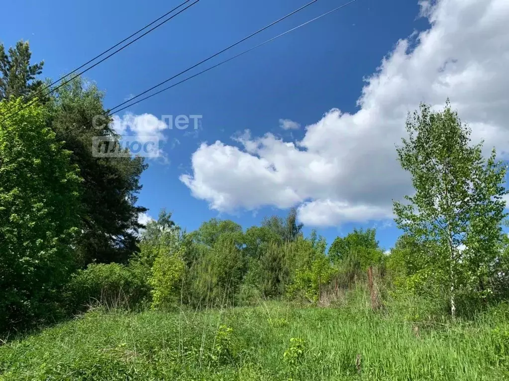 Участок в Московская область, Одинцовский городской округ, д. ... - Фото 1