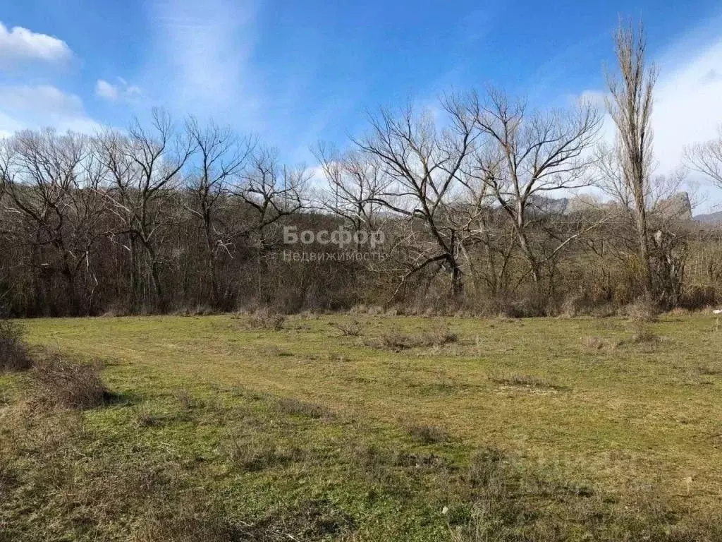 Участок в Крым, Феодосия муниципальный округ, Щебетовка пгт ул. ... - Фото 2