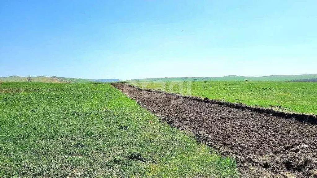 Участок в Ставропольский край, Минераловодский муниципальный округ, ... - Фото 1