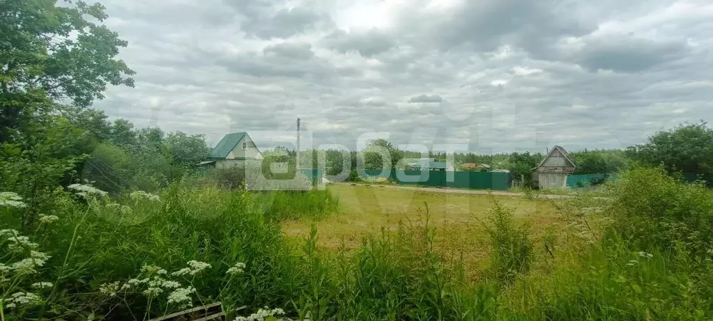 Участок 11 сот. (СНТ, ДНП) - Фото 0