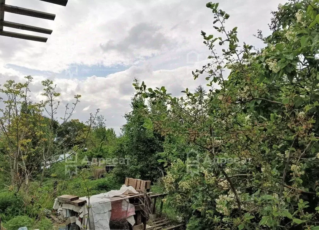 Участок в Волгоградская область, Волгоград 40 лет Октября СНТ,  (5.65 ... - Фото 1