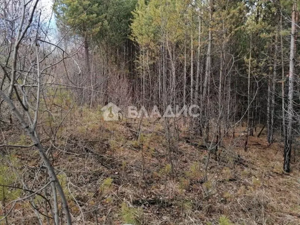 Участок в Иркутская область, Иркутск Славный мкр, ул. Заветная (15.0 ... - Фото 2