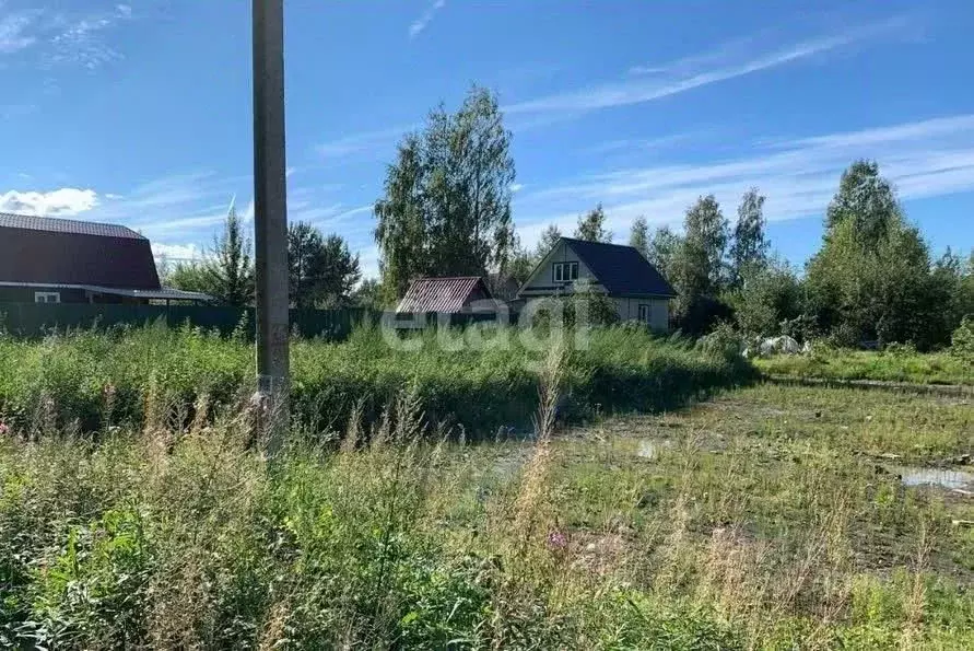 Участок в Свердловская область, Екатеринбург Медный СПК, 39 (6.5 сот.) - Фото 2