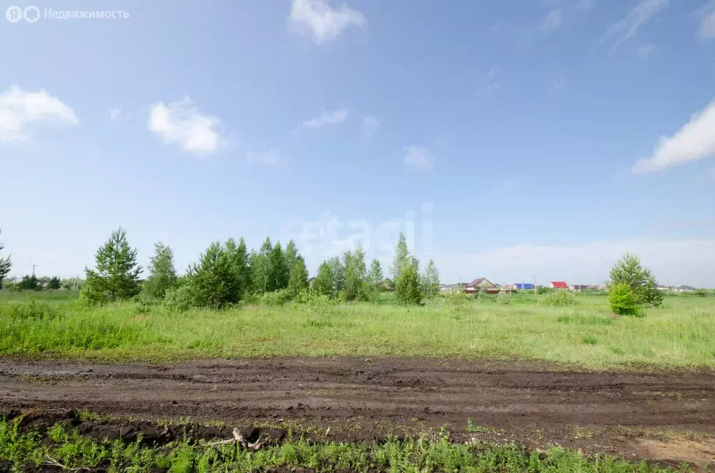 Участок в Ялуторовск, улица Артемьева (10 м) - Фото 2