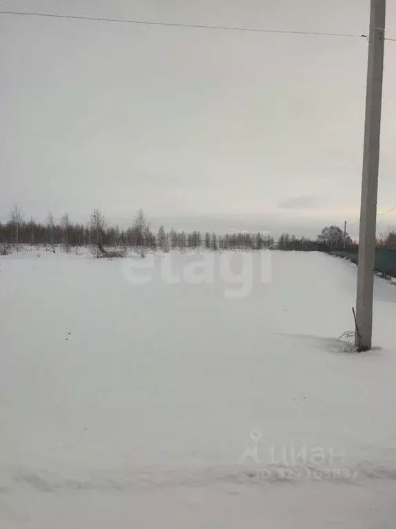 Участок в Новосибирская область, Новосибирский район, Морской ... - Фото 2