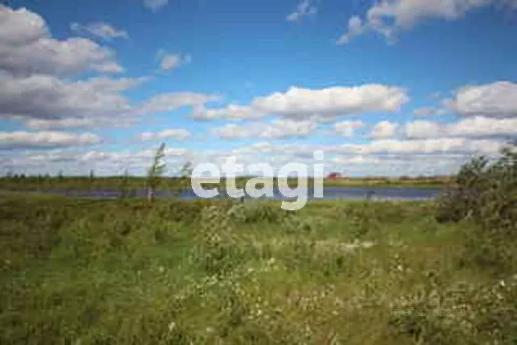 Участок в Ямало-Ненецкий АО, Новый Уренгой ул. 9-я Запрудная (6.01 ... - Фото 1