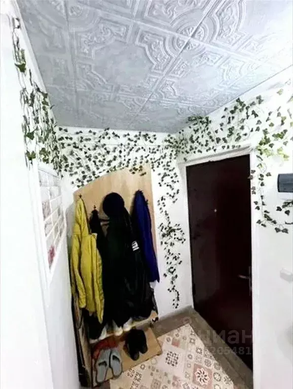 1-к кв. Краснодарский край, Краснодар ул. Митинская (35.6 м) - Фото 2