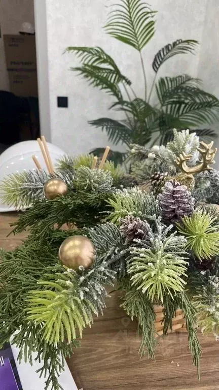 Участок в Краснодарский край, Ейск Садовод СНТ,  (5.0 сот.) - Фото 1