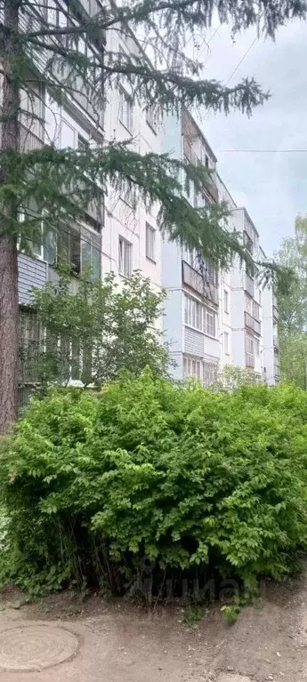 3-к кв. Костромская область, Кострома ул. Сутырина, 21 (50.0 м) - Фото 1