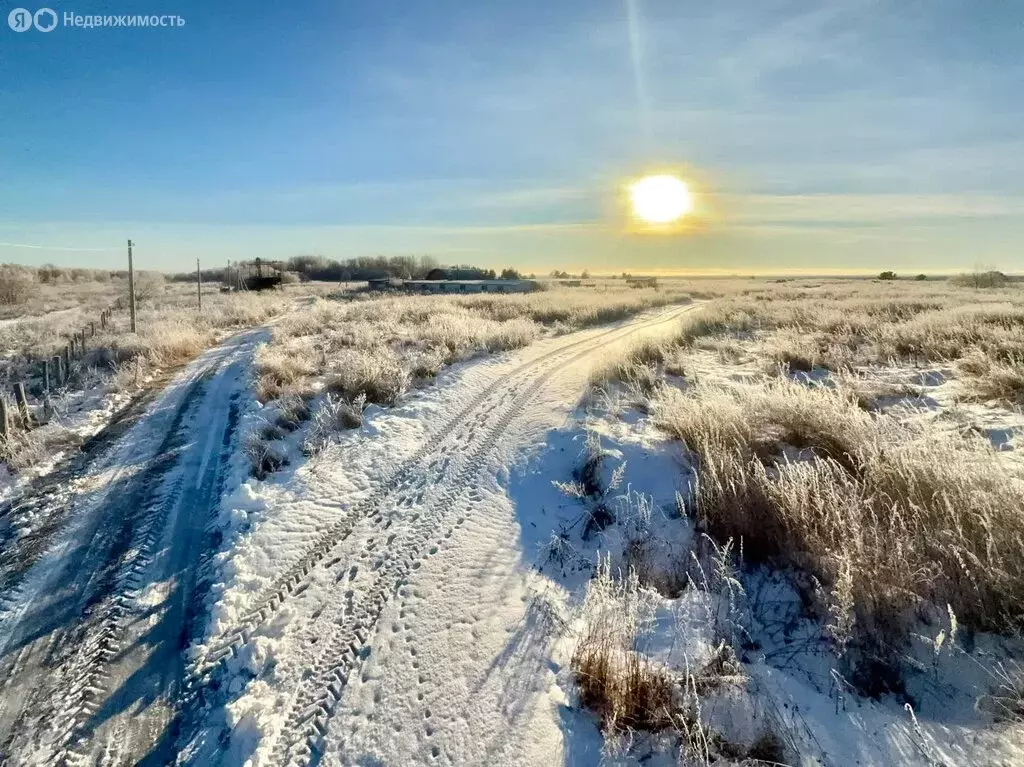 Участок в Абалак, Советская улица (40 м) - Фото 2