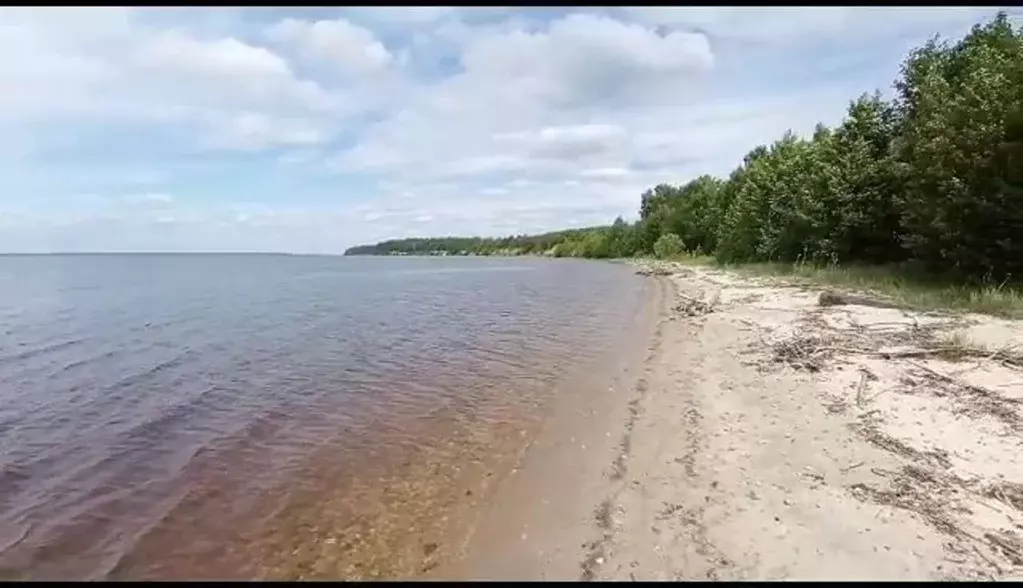 участок в нижегородская область, городец (40.0 сот.) - Фото 0