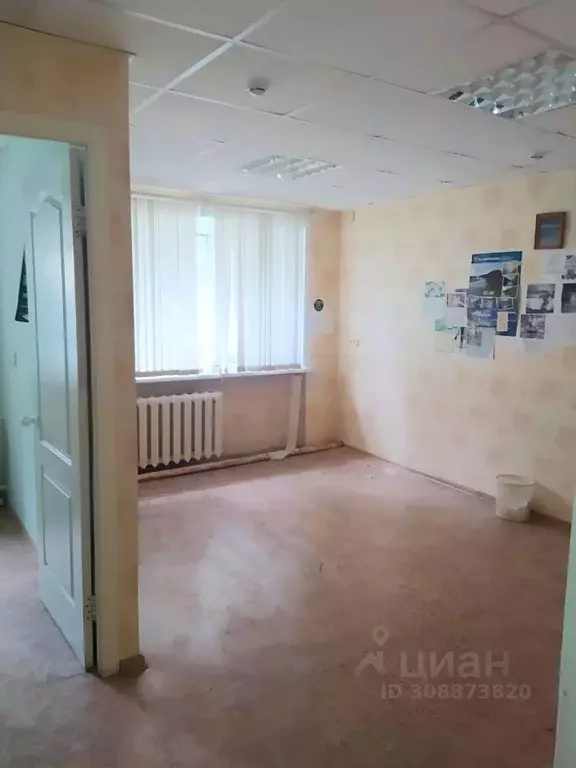 Помещение свободного назначения в Пермский край, Березники ул. ... - Фото 1