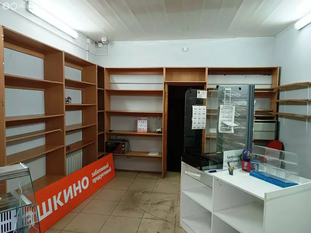 Помещение свободного назначения (110 м) - Фото 1