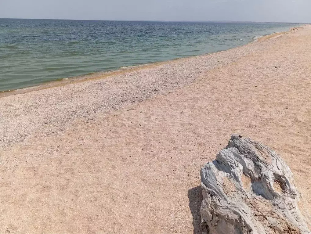 Участок в Крым, Ленинский район, Семисотское с/пос, с. Каменское ул. ... - Фото 2