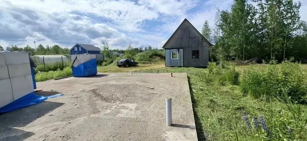Участок в Ленинградская область, Кировский район, Синявинское ... - Фото 1