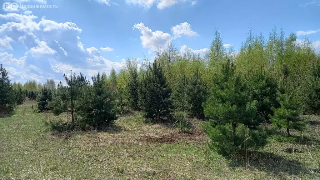 Участок в Московская область, городской округ Воскресенск, деревня ... - Фото 1