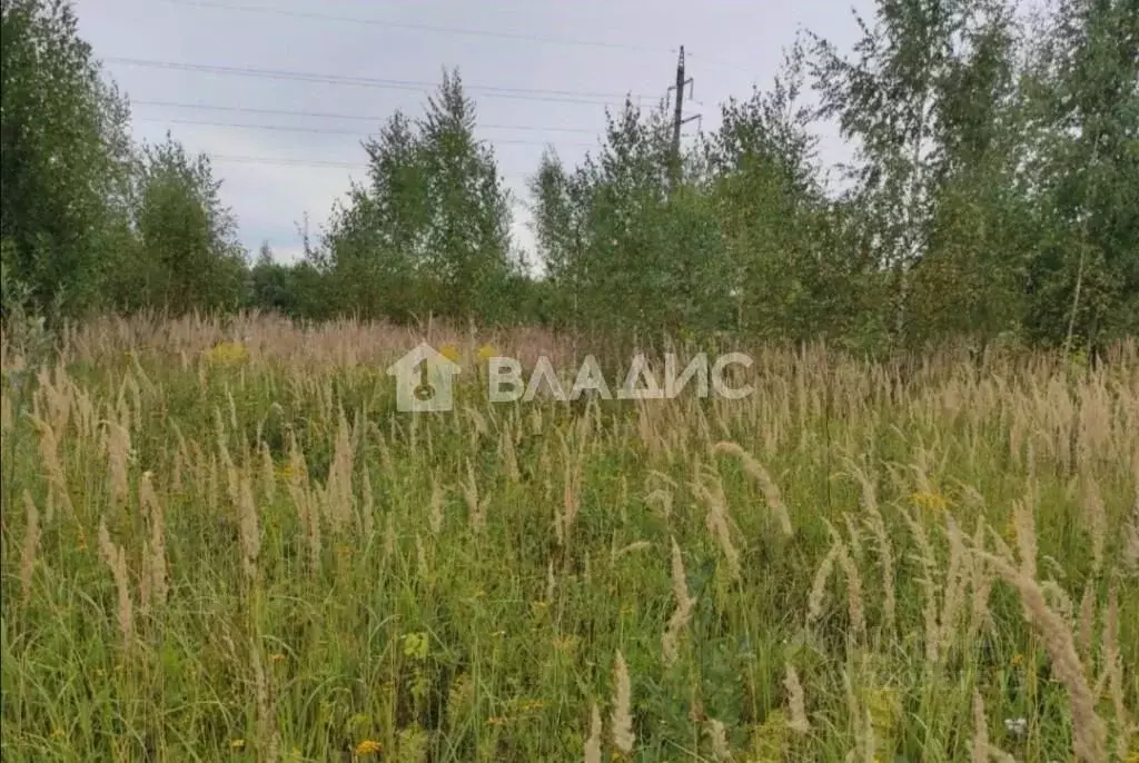 Участок в Владимирская область, Суздальский район, с. Новоалександрово ... - Фото 0