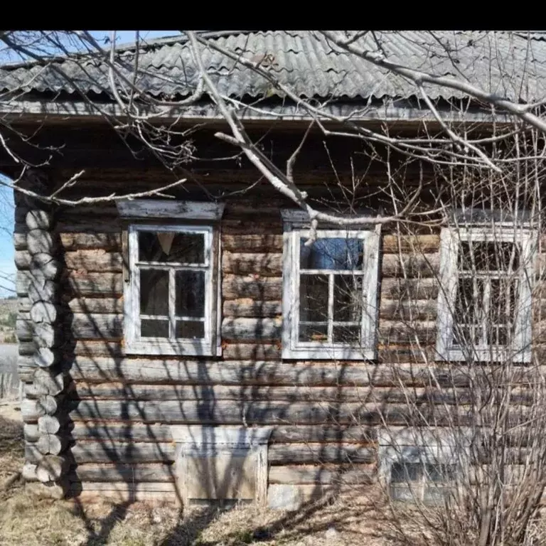 Дом в Пермский край, Ильинский городской округ, с. Васильевское ул. ... - Фото 0