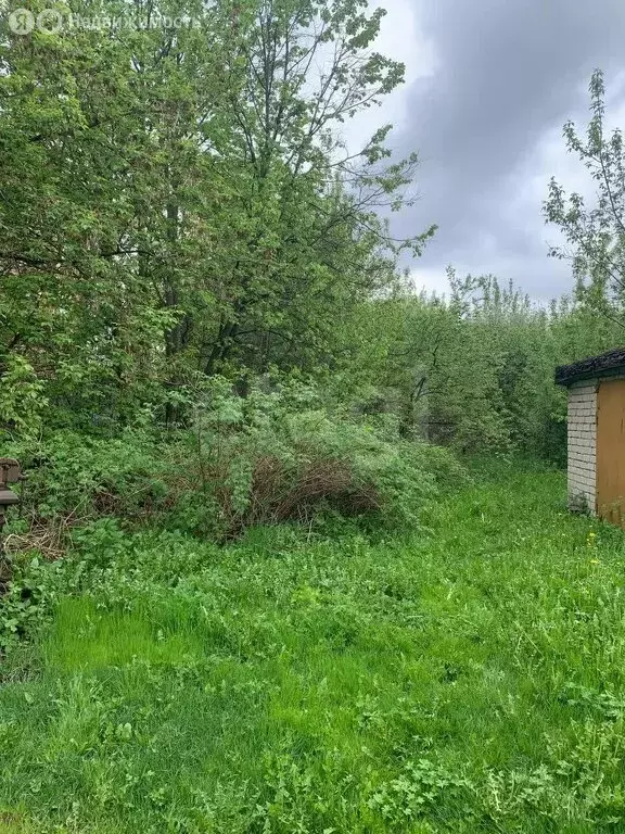 Участок в Кострома, улица Ивана Сусанина (12.3699 м) - Фото 1