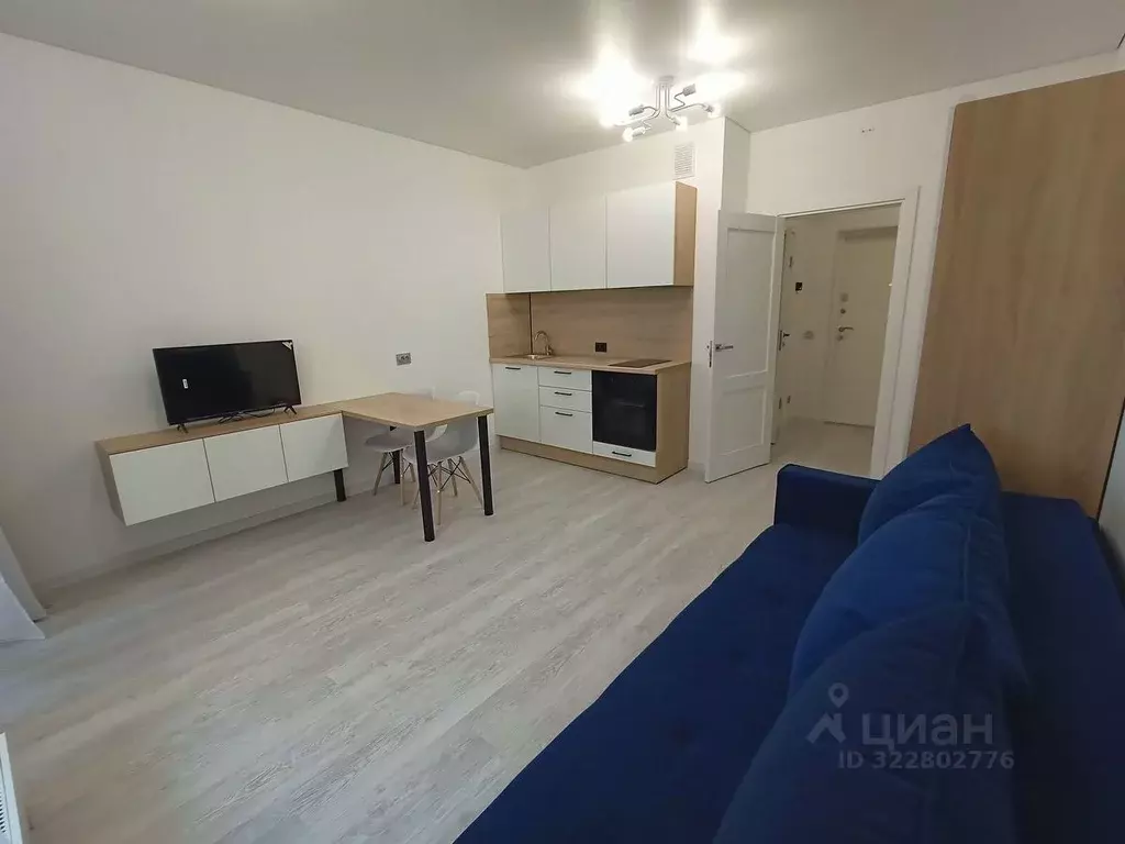 Студия Санкт-Петербург просп. Обуховской обороны, 36 (27.46 м) - Фото 1