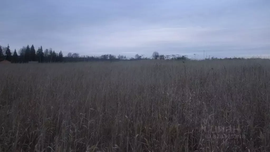 Участок в Московская область, Шаховская муниципальный округ, с. Белая ... - Фото 1