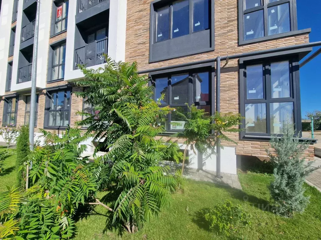 1-к кв. Краснодарский край, Анапа муниципальный округ, с. Витязево ул. ... - Фото 2