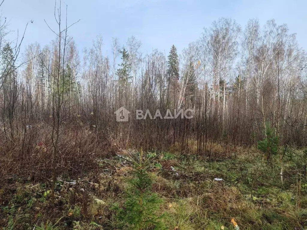 Участок в Ленинградская область, Всеволожский район, Рахьинское ... - Фото 1