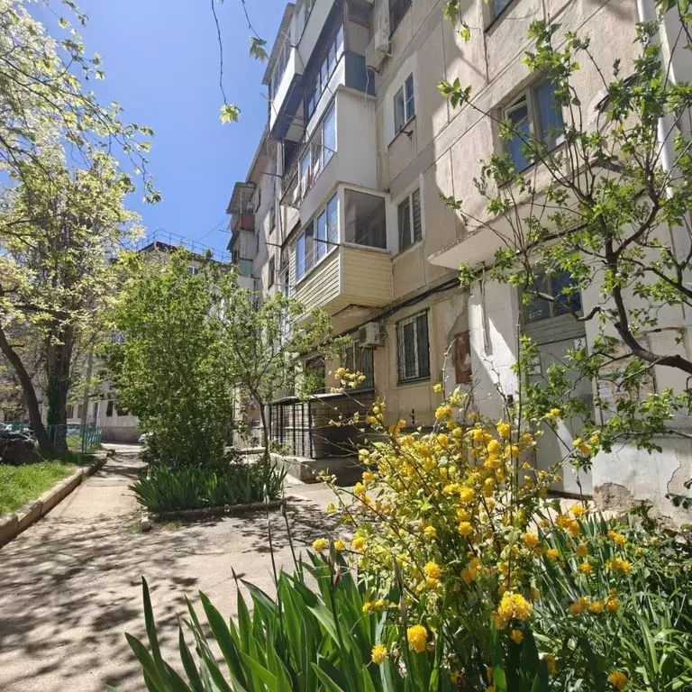 2-к кв. Севастополь ул. Пролетарская, 23 (44.6 м) - Фото 2