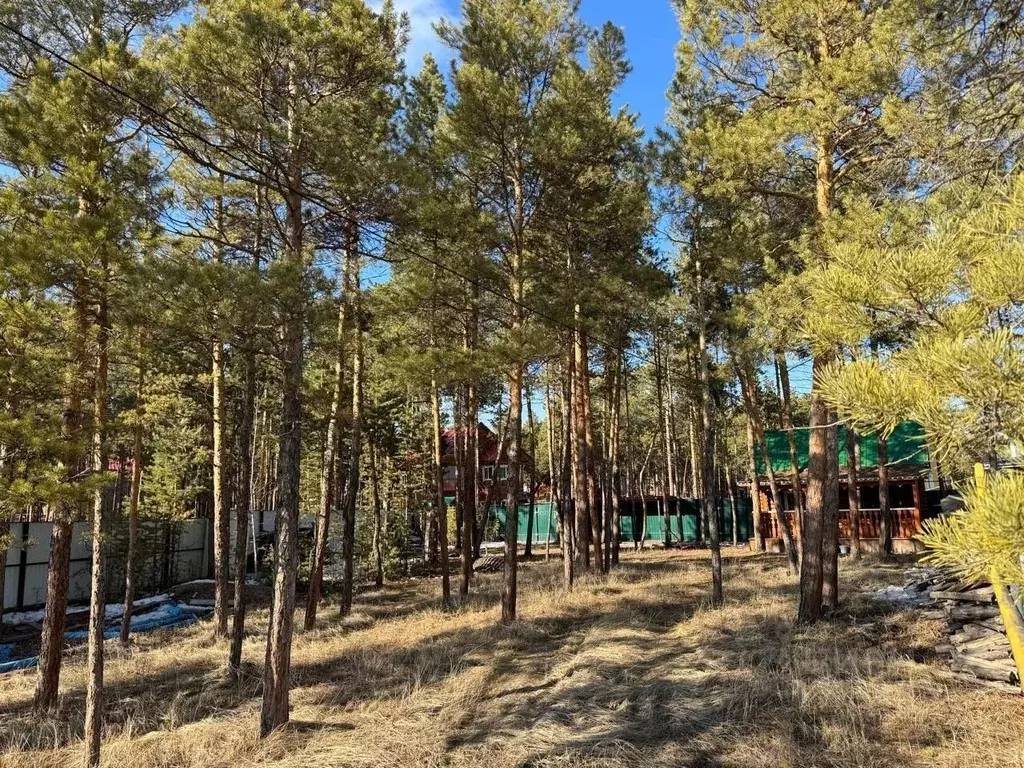 Дом в Саха (Якутия), Якутск ул. Три Сосны (36 м) - Фото 1