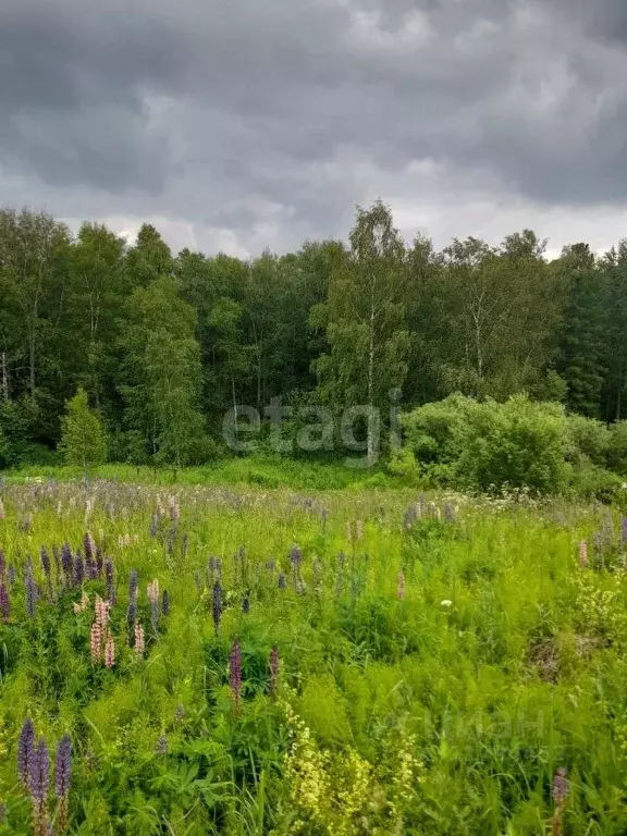 Участок в Томская область, Томский район, Чипполино СНТ  (8.0 сот.) - Фото 1